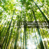 Japan Animesong Collection Special "NARUTO Syonen-hen" - Various Artists
