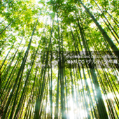 Cover art for Japan Animesong Collection Special "NARUTO Syonen-hen" by Various Artists