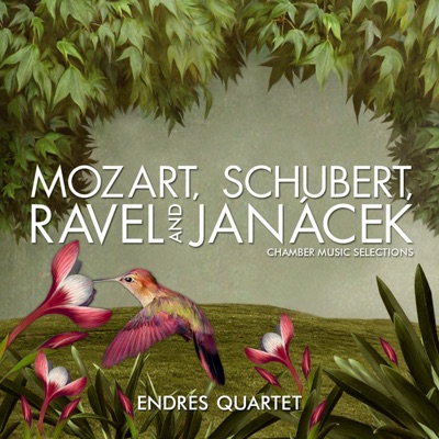 Mozart, Schubert, Ravel and Janácek: Chamber Music Selections