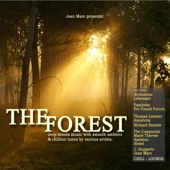 The Forest Dreams (Artenovum Piano Mix) artwork