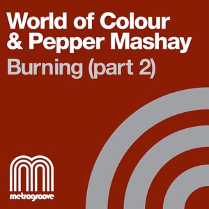Burning (Part 2) - Single