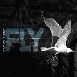 Fly (Single)