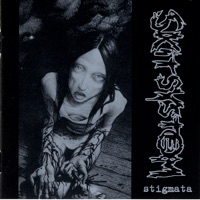 Skitsystem - Våld