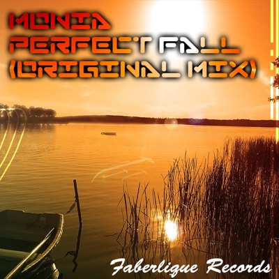 Perfect Fall - Single