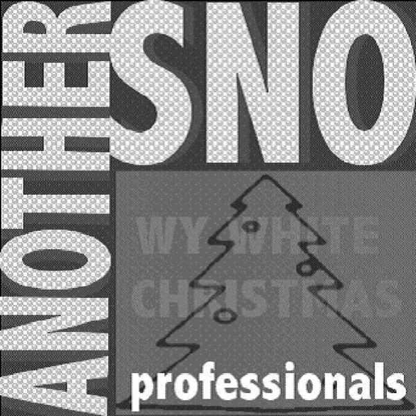 Обложка альбома «Another Snowy White Christmas» — Professionals