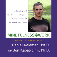 Daniel Goleman & Jon Kabat-Zinn - Mindfulness @ Work: A Leading with Emotional Intelligence Conversation with Jon Kabat-Zinn (Unabridged) artwork