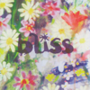 Bliss - Bliss