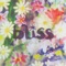 Seabird - Bliss lyrics