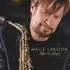 Walle Larsson - Never Gonna Let You Go