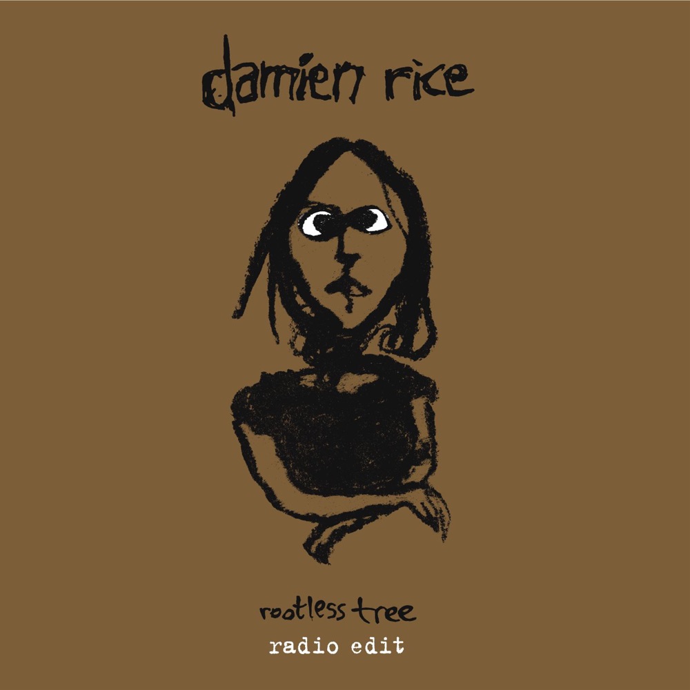 Обложка альбома «Rootless Tree - Single» — Damien Rice