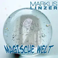 Der letzte Sommer war ein Herbst — Markus Linzer