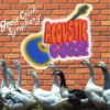 Acoustic Goose