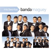 Mis Favoritas: Banda Maguey