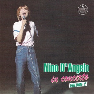 Nino D'Angelo in concerto, Vol. 2