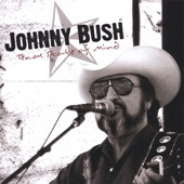 Johnny Bush - Honky Tonk Stardust Cowboy