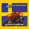 Soldier of Fortune Reloaded (Radio Mix) - DJ Schwede