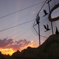 My Home In North Dakota - Adam Taylor