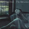 The Attraction