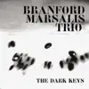 Branford Marsalis Trio - A Thousand Autumns