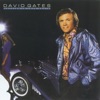 David Gates - Silky