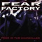 Self Immolation (Vein Tap Mix) - Fear Factory lyrics