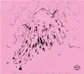 Epidermis