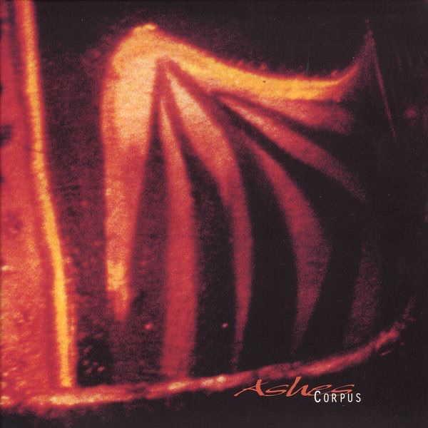 Winter Garden - Album by Eraldo Bernocchi, Harold Budd & Robin