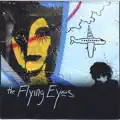 The Flying Eyes