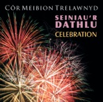 Seiniau'r Dathlu