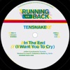 Tensnake - Can You Feel It (Original Mix)