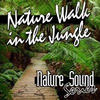 Nature Walk In the Jungle (Nature Sounds) - Nature Sound Series