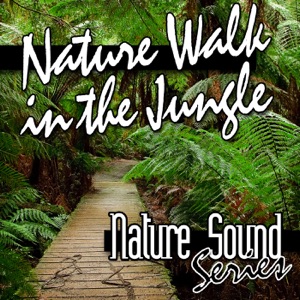 Nature Walk In the Jungle (Nature Sounds)