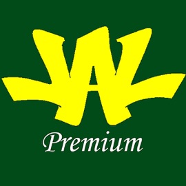 Pleasure & Pain (Justin Time Mix) Adman & Demo