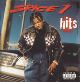 Best of Spice 1 cover