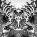 Natural Selection (feat. The Black Angels)
