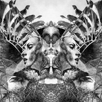 Natural Selection (feat. The Black Angels) - Single - UNKLE