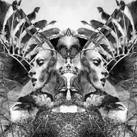 Natural Selection (Feat. The Black Angels)