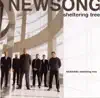 NewSong - Wonderful One