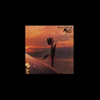 The Pretty Things - She's a Lover (Acoustic Re-recording)