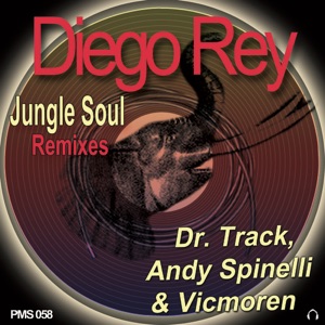 Jungle Soul (Andy Spinelli & Vicmoren Mix)