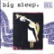 The Beggar's Cap - big sleep lyrics