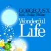 Wonderful Life (feat. Julia Falke)
