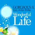 Wonderful Life (89ers Remix)