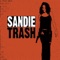 Copyright - Sandie Trash lyrics
