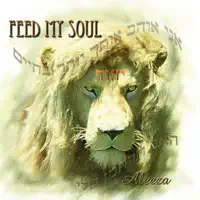 Feed My Soul — Aleeza Evans