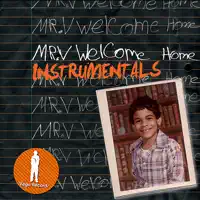 Put Your Drink Down (Dub Instrumental) — Mr. V
