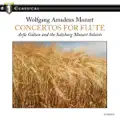 Concerto No. 1 in G Major for Flute and Orchestra, K. 313: I. Allegro maestoso