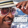 Dame (feat. Kat Deluna) - Shaggy