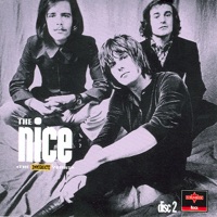 The Nice Ablum Cover