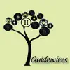 Guidewires, Pádraig Rynne, Tóla Custy, Sylvain Barou, Karol Lynch & Paul McSherry - Cailean's